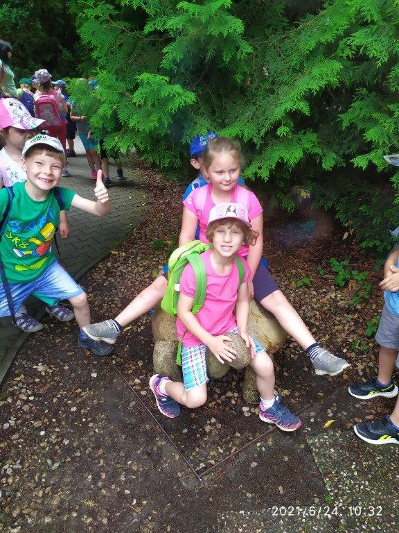 IMG_20210624_103259