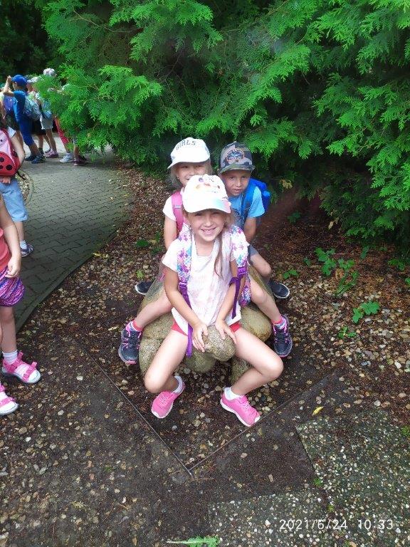 IMG_20210624_103323